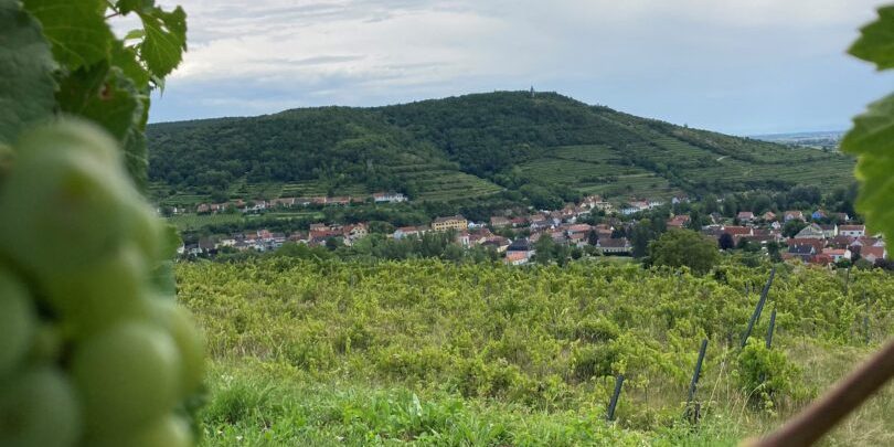 Kogelberg 2